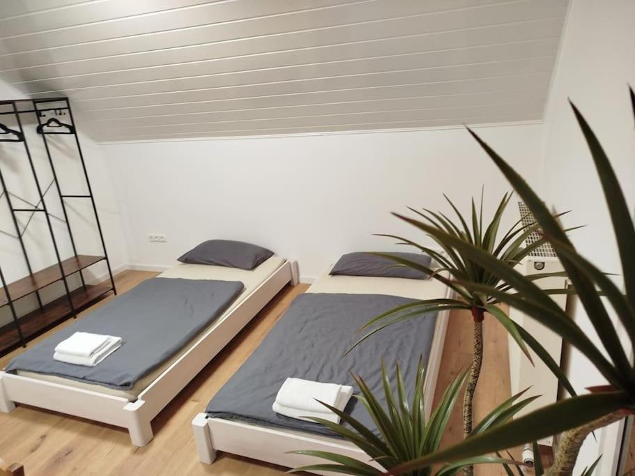 Appartement Design - Glauburg Eksteriør bilde