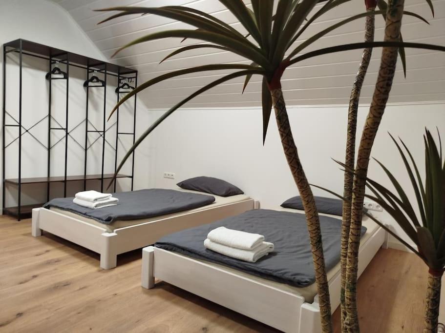 Appartement Design - Glauburg Eksteriør bilde